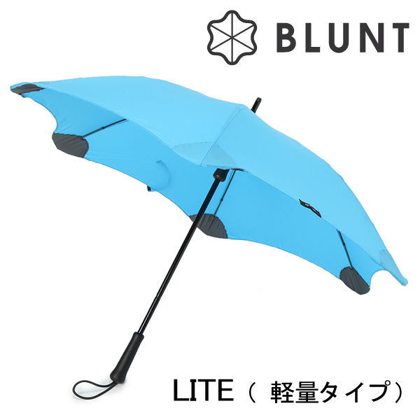 Bluntlite-main